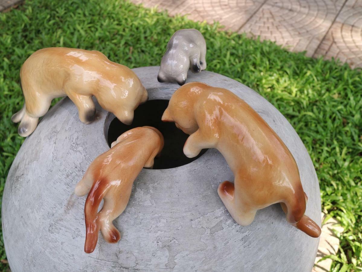 清迈爱河酒店 清邁 外观 照片